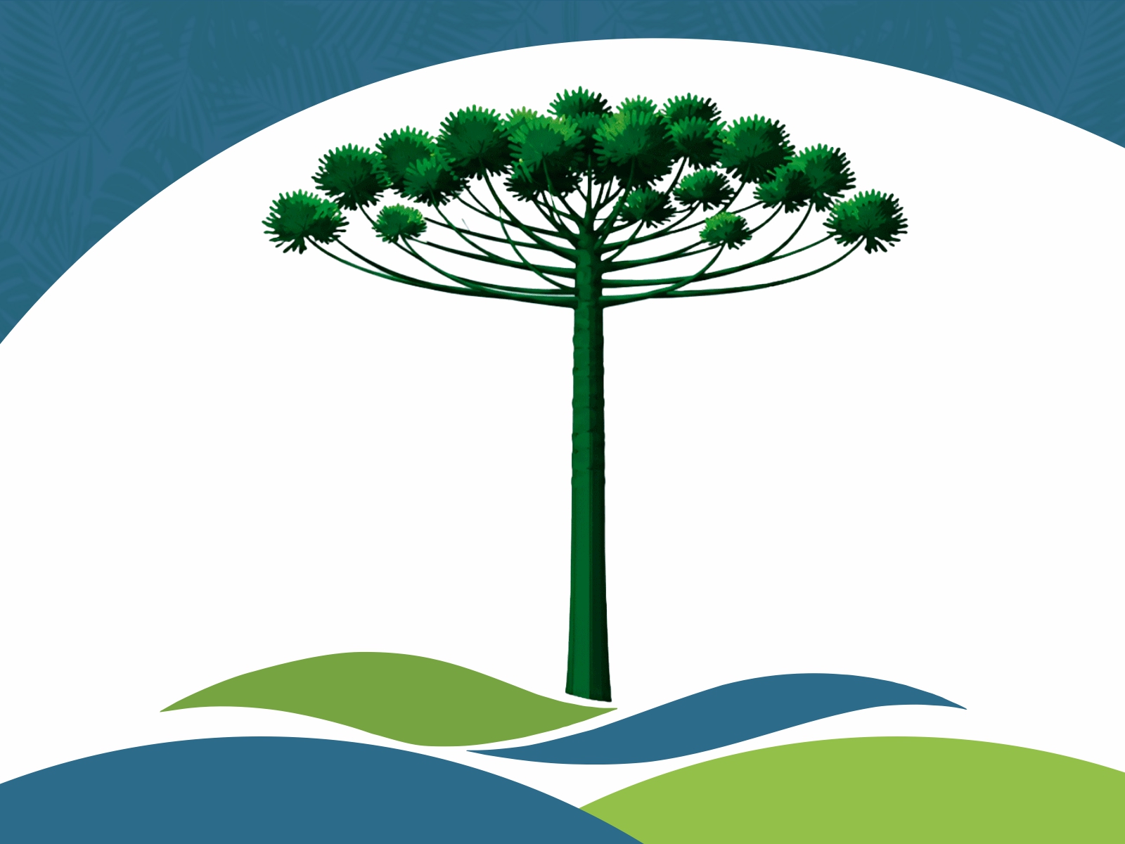 XXXIII Semana Alto Uruguai do Meio Ambiente debate resiliência e justiça climática
